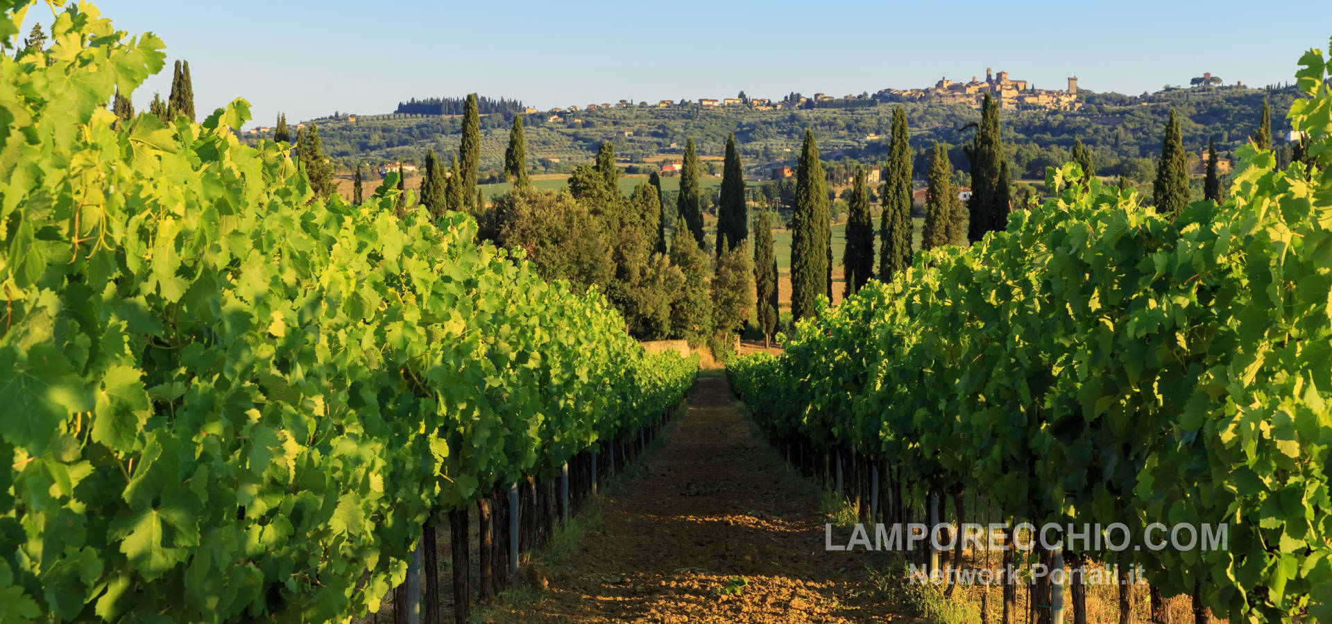 Lamporecchio - Patria del brigidino e tradizione vitivinicola delle dolci colline ai piedi del Montalbano